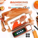 Bang King Ice Cool 50000 – Jednokratni Vape s 50,000 Puffova i Podesivim Hlađenjem - Slika 3