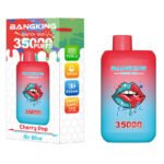 Bang Switch Duo 35000 Puffs – Dvostruki Okusi u Jednom Vape Uređaju s Dugim Trajanjem - Slika 9