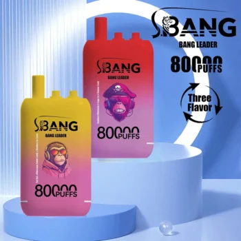 vape bang leader 80000 80k puffs main picture